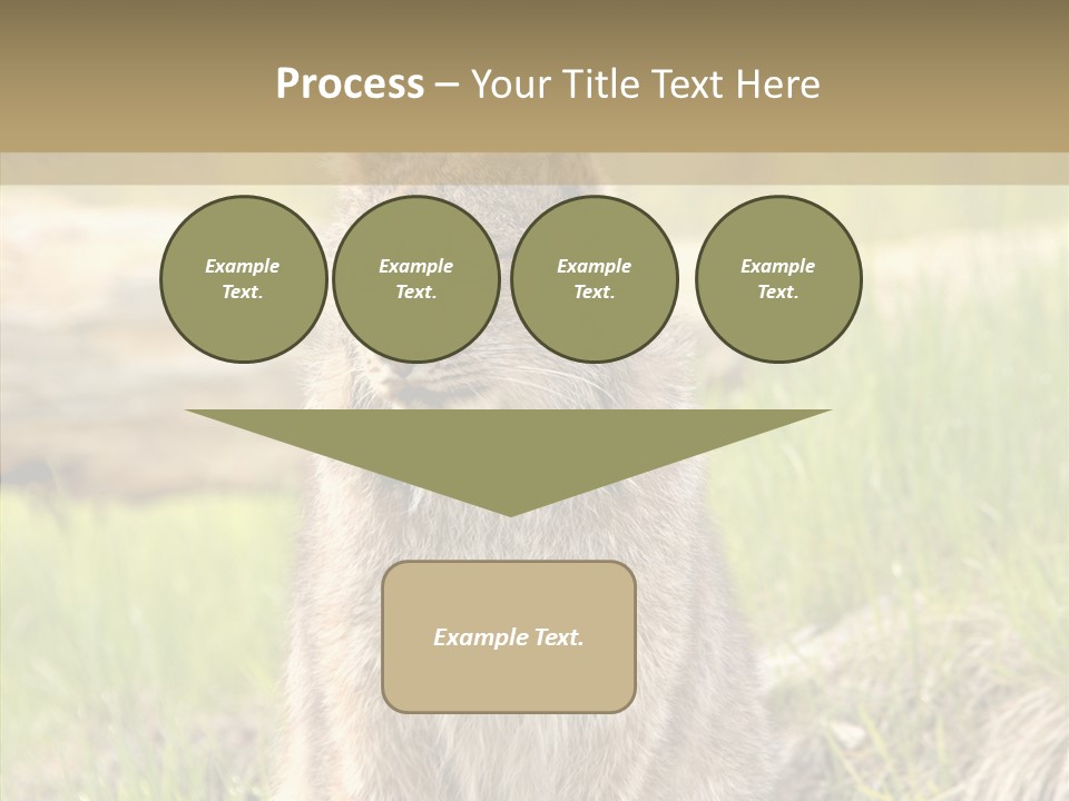 Whiskers Tufts Mouth PowerPoint Template