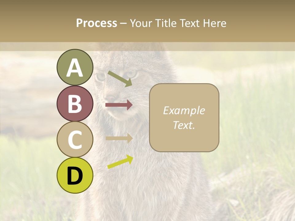 Whiskers Tufts Mouth PowerPoint Template