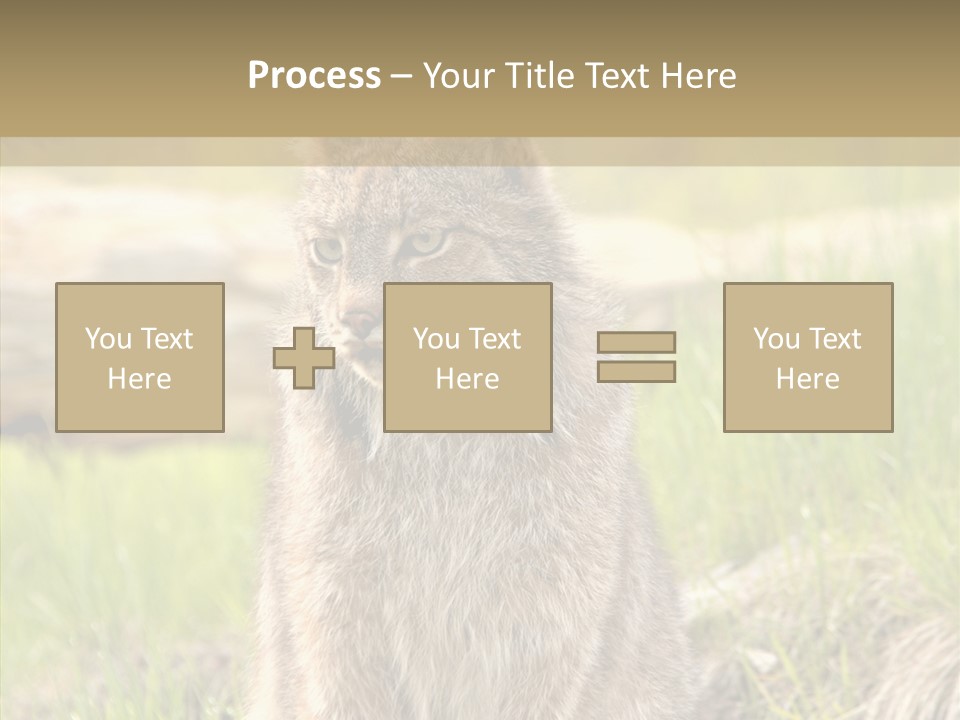 Whiskers Tufts Mouth PowerPoint Template