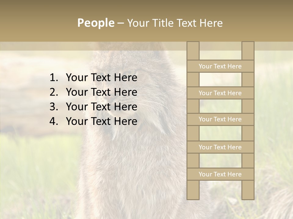 Whiskers Tufts Mouth PowerPoint Template