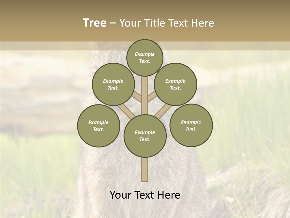Whiskers Tufts Mouth PowerPoint Template