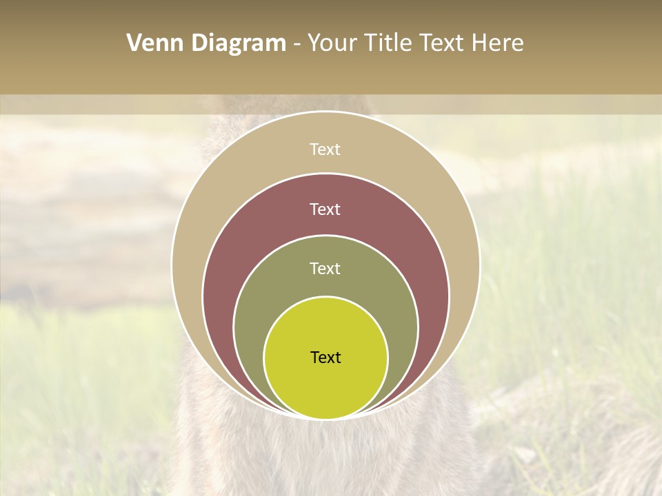 Whiskers Tufts Mouth PowerPoint Template