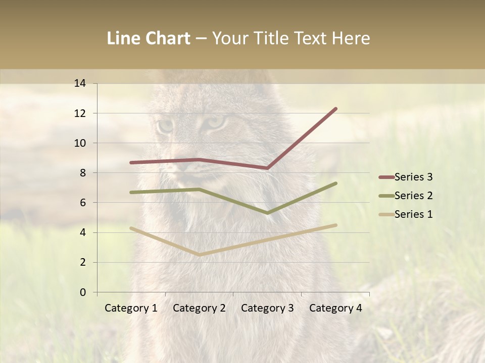 Whiskers Tufts Mouth PowerPoint Template