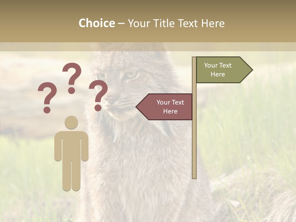 Whiskers Tufts Mouth PowerPoint Template