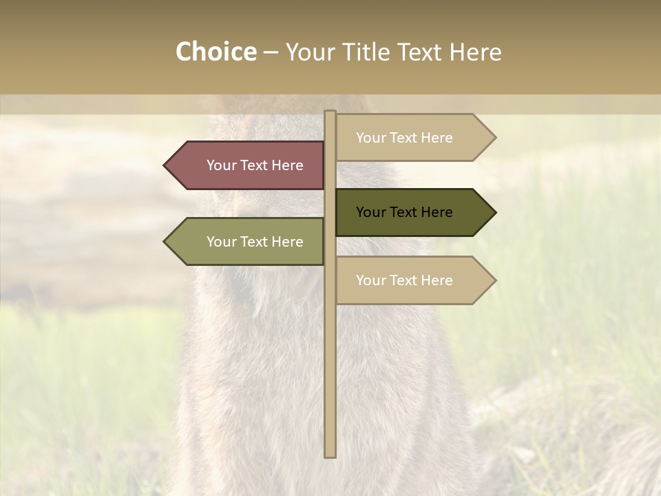 Whiskers Tufts Mouth PowerPoint Template