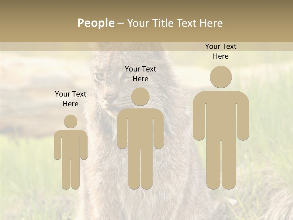 Whiskers Tufts Mouth PowerPoint Template