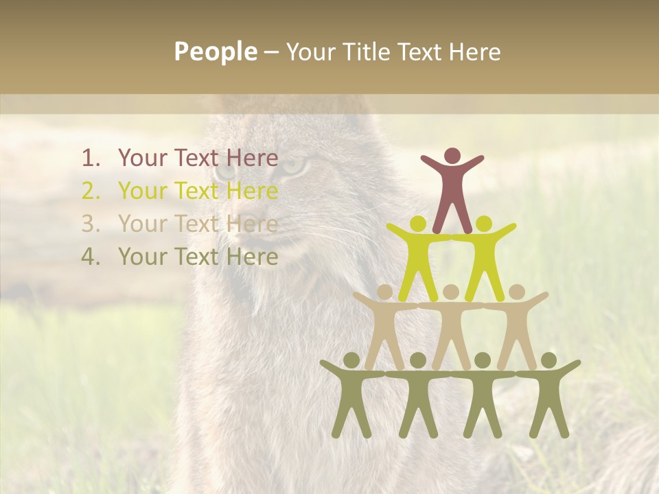 Whiskers Tufts Mouth PowerPoint Template