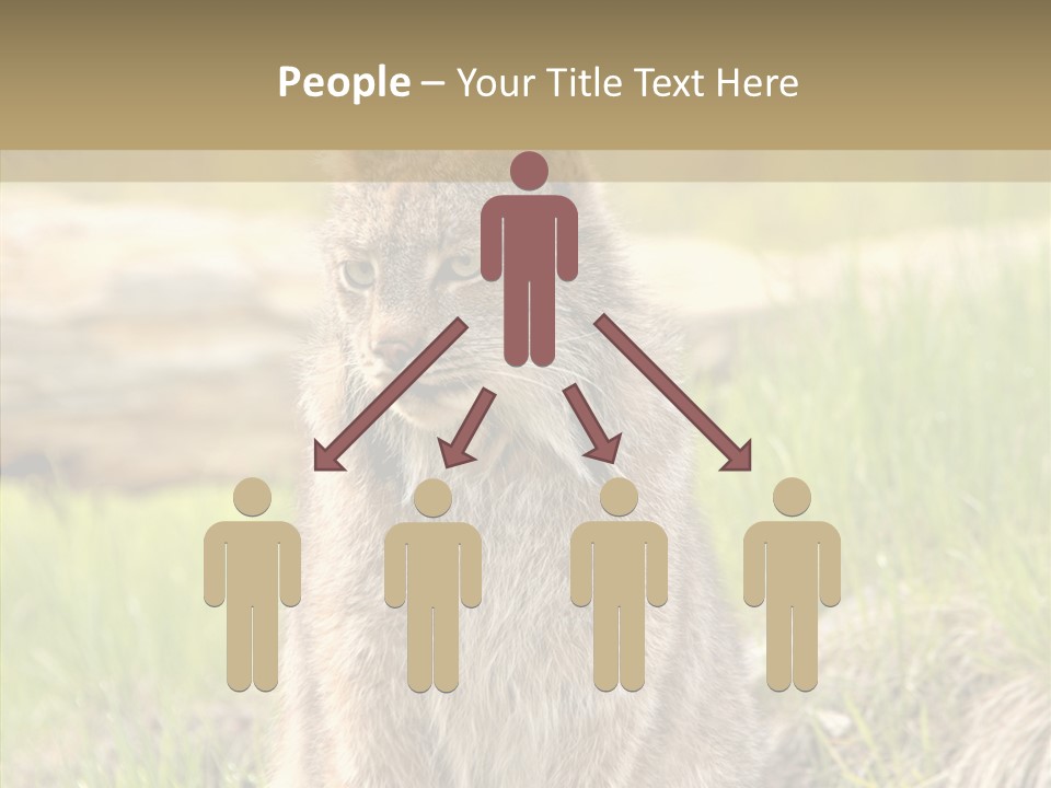 Whiskers Tufts Mouth PowerPoint Template