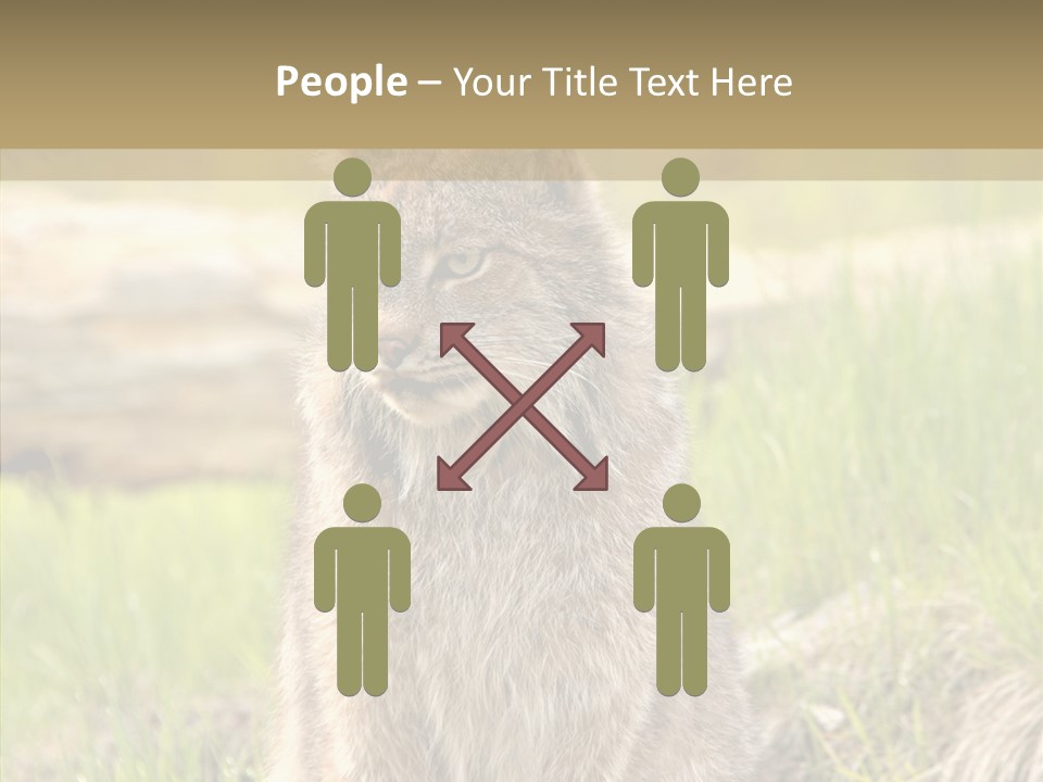 Whiskers Tufts Mouth PowerPoint Template