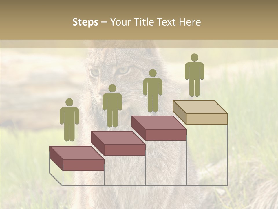 Whiskers Tufts Mouth PowerPoint Template