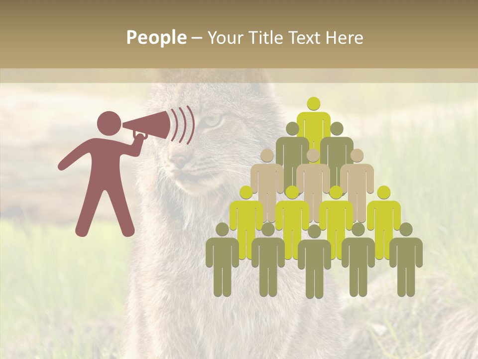 Whiskers Tufts Mouth PowerPoint Template