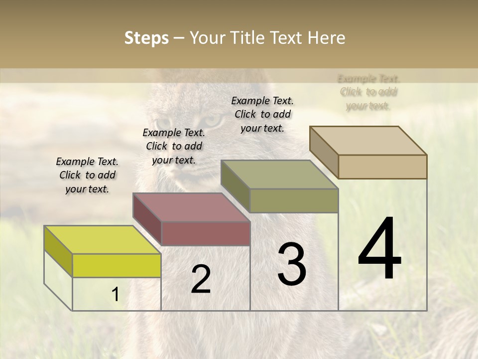 Whiskers Tufts Mouth PowerPoint Template