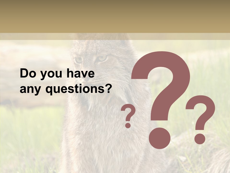 Whiskers Tufts Mouth PowerPoint Template