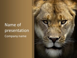 Neauty Feline Wild PowerPoint Template