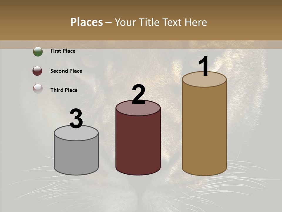 Neauty Feline Wild PowerPoint Template