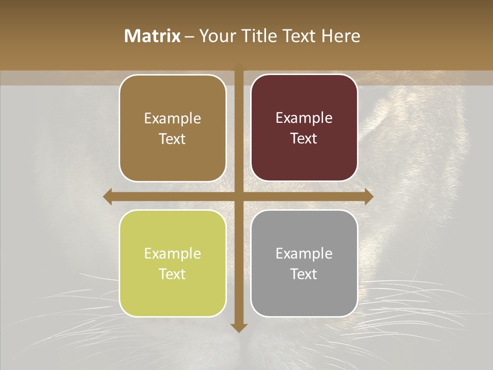 Neauty Feline Wild PowerPoint Template