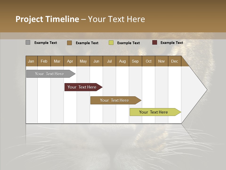 Neauty Feline Wild PowerPoint Template