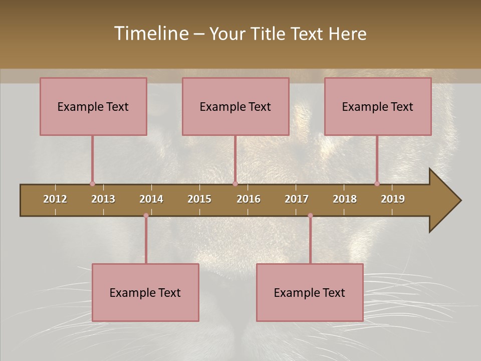 Neauty Feline Wild PowerPoint Template
