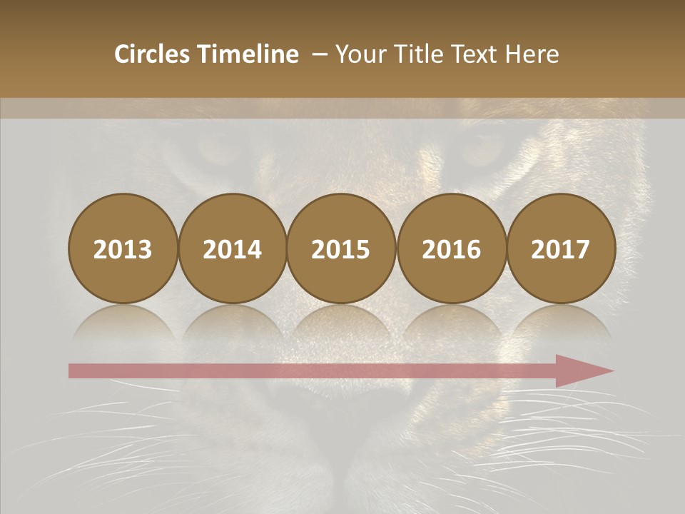 Neauty Feline Wild PowerPoint Template