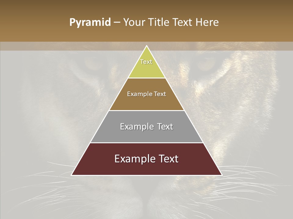 Neauty Feline Wild PowerPoint Template