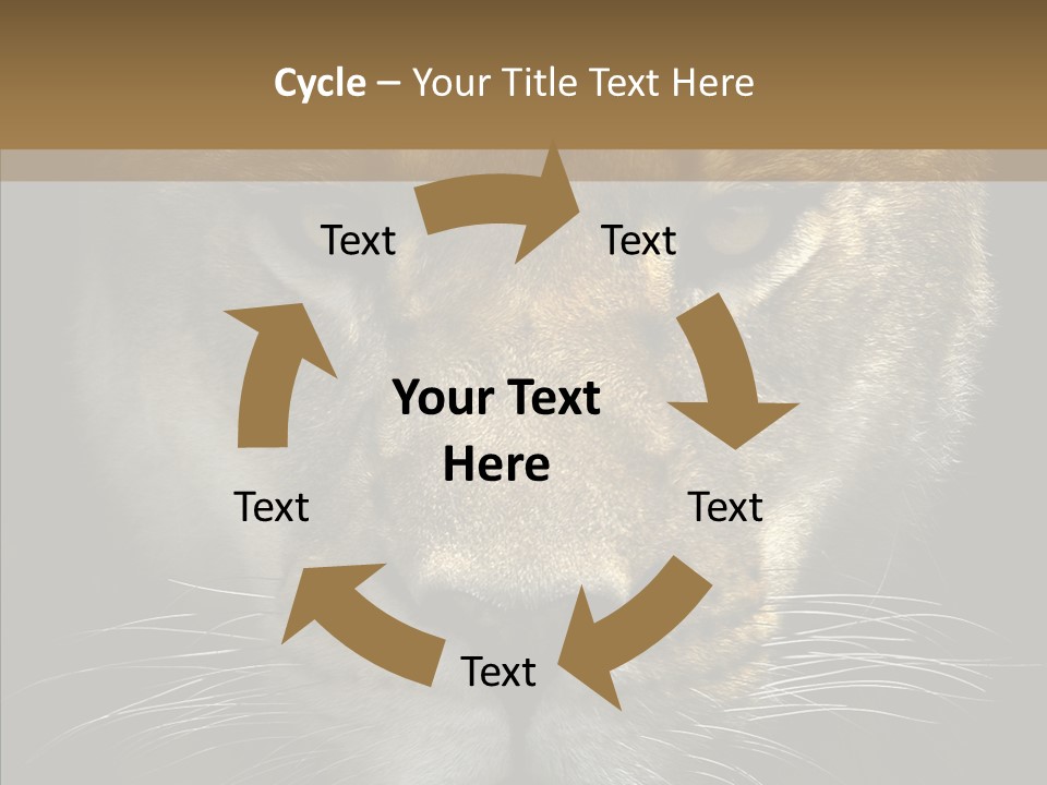 Neauty Feline Wild PowerPoint Template