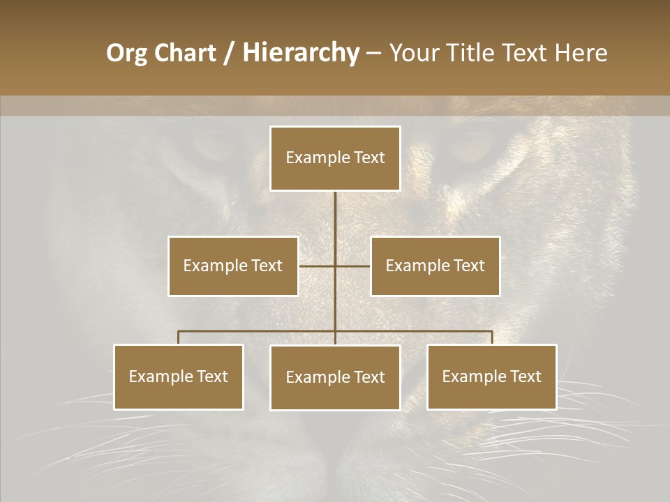 Neauty Feline Wild PowerPoint Template