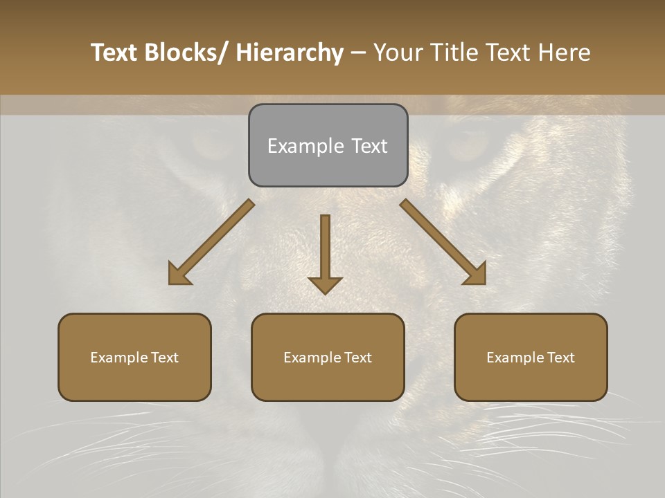 Neauty Feline Wild PowerPoint Template