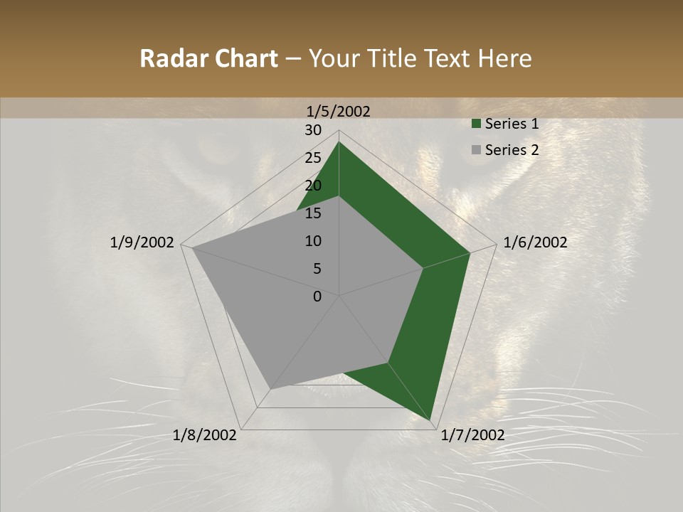 Neauty Feline Wild PowerPoint Template