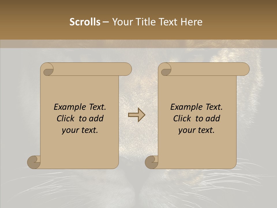 Neauty Feline Wild PowerPoint Template