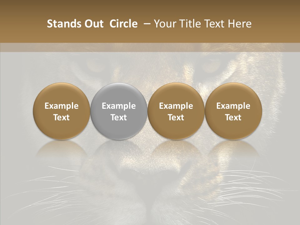 Neauty Feline Wild PowerPoint Template