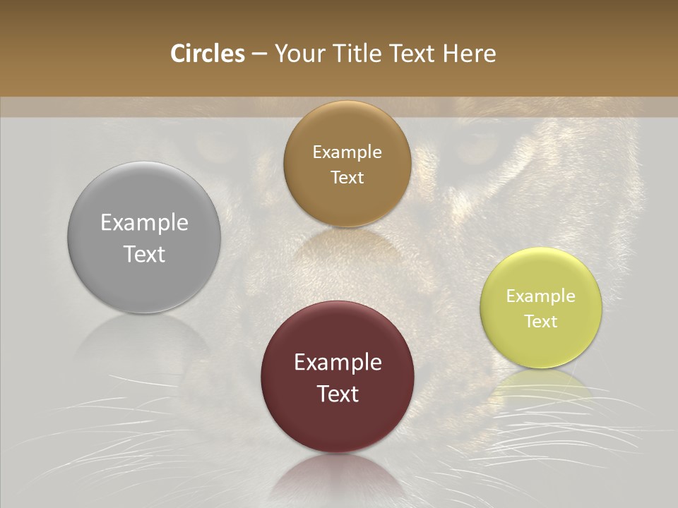 Neauty Feline Wild PowerPoint Template