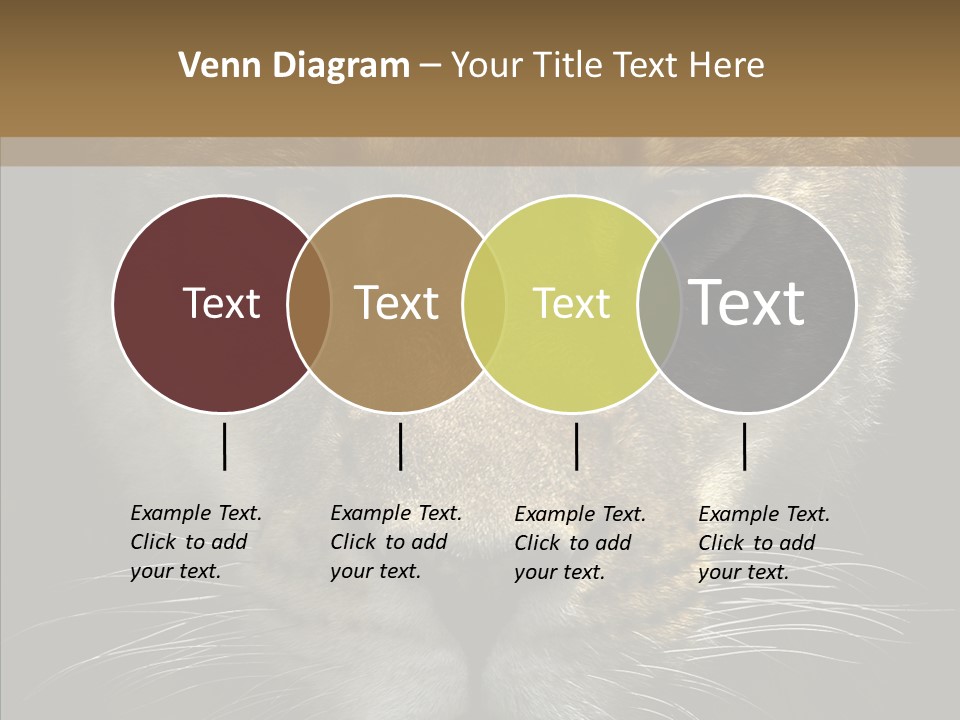 Neauty Feline Wild PowerPoint Template