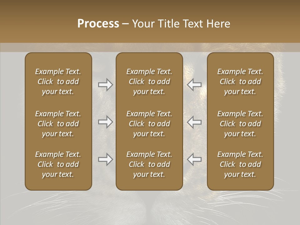 Neauty Feline Wild PowerPoint Template