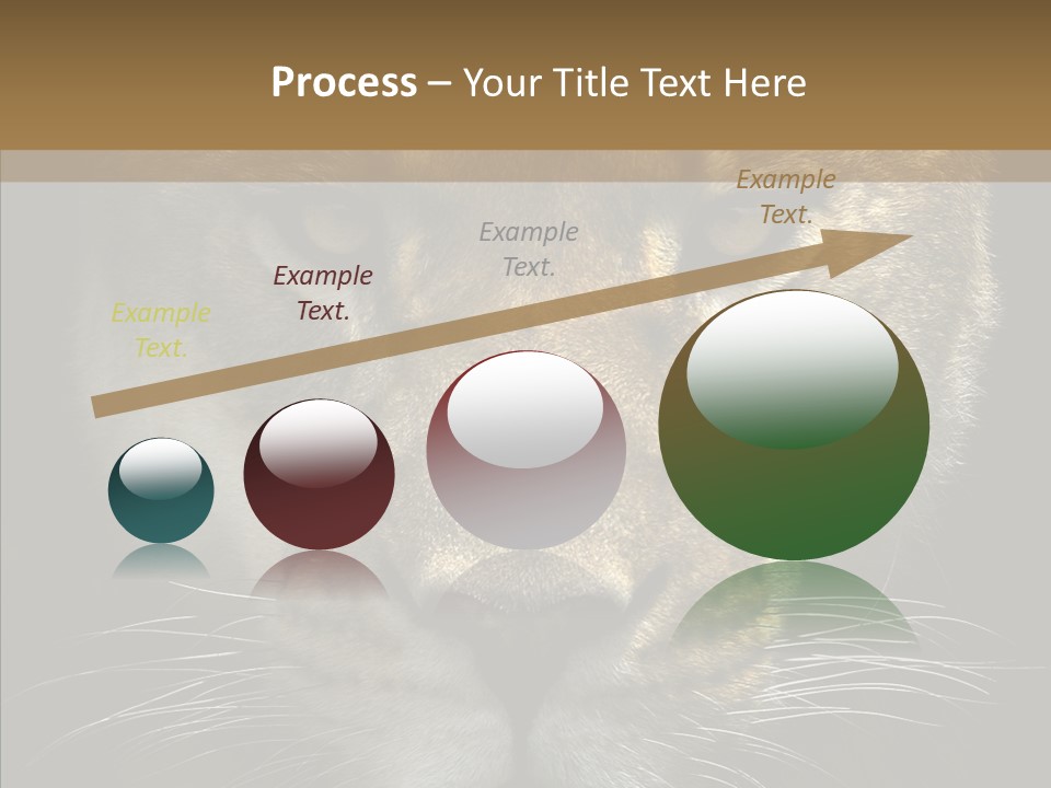 Neauty Feline Wild PowerPoint Template