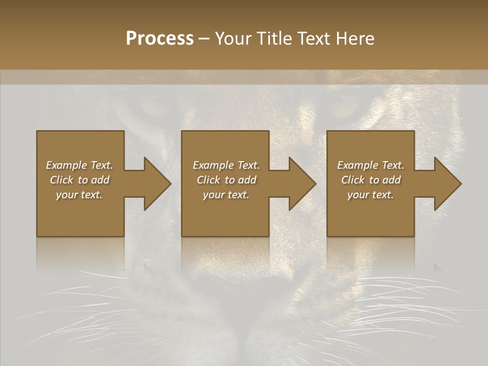 Neauty Feline Wild PowerPoint Template