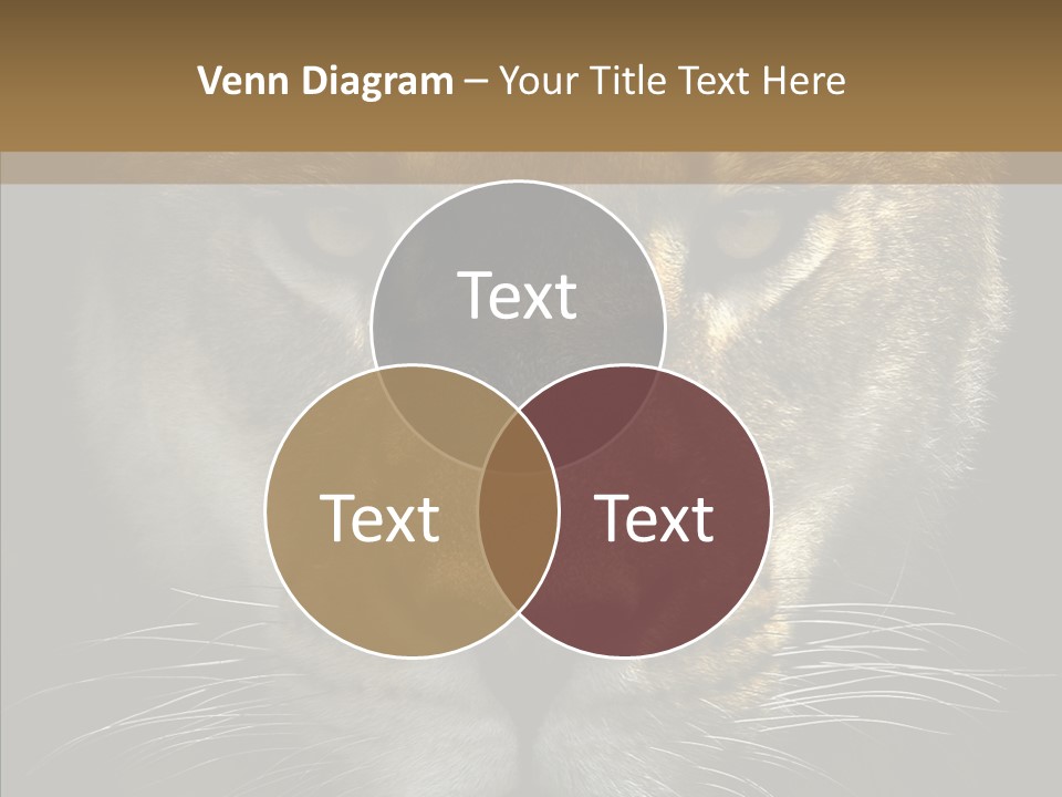 Neauty Feline Wild PowerPoint Template