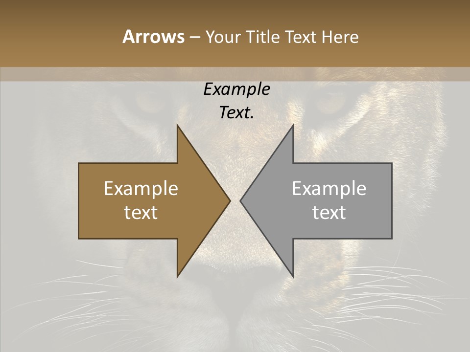 Neauty Feline Wild PowerPoint Template