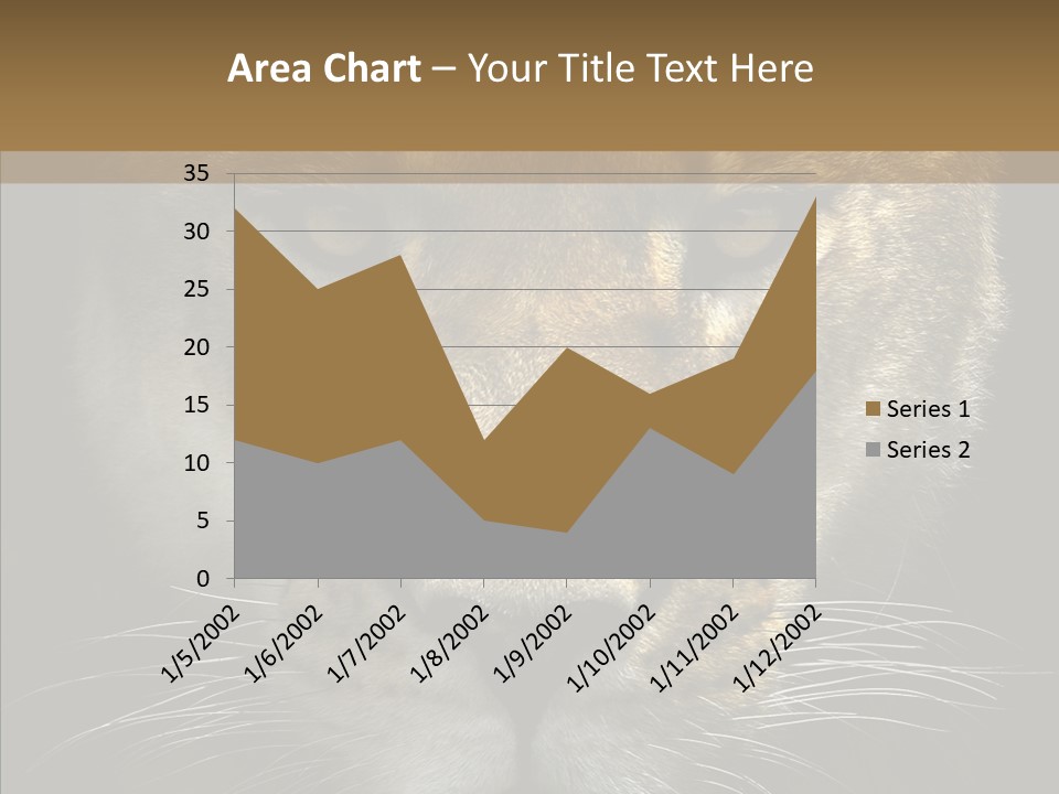 Neauty Feline Wild PowerPoint Template