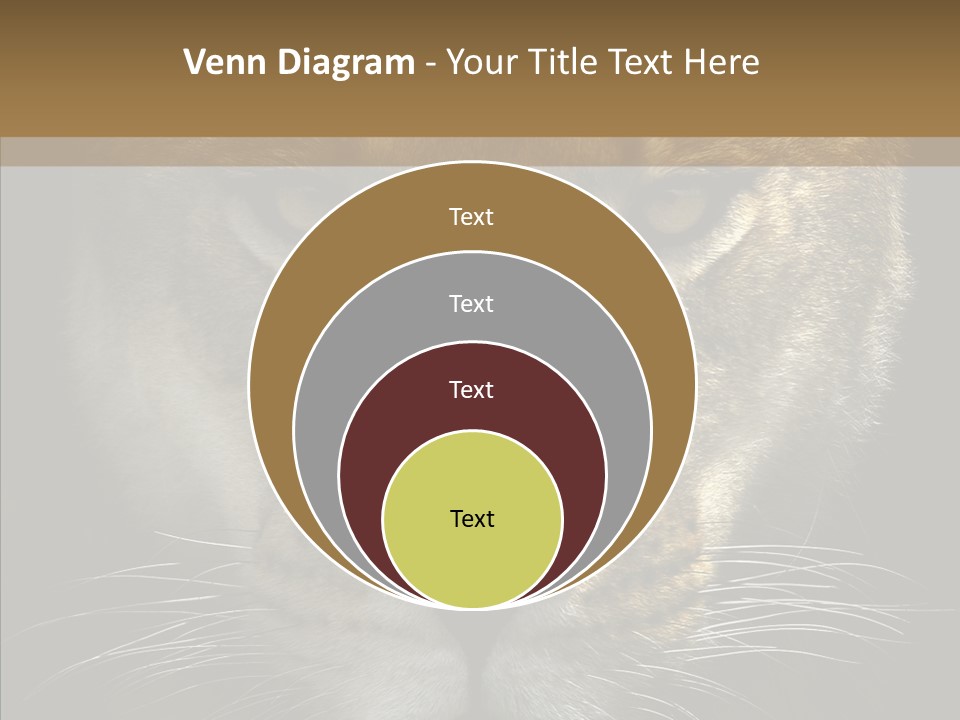 Neauty Feline Wild PowerPoint Template