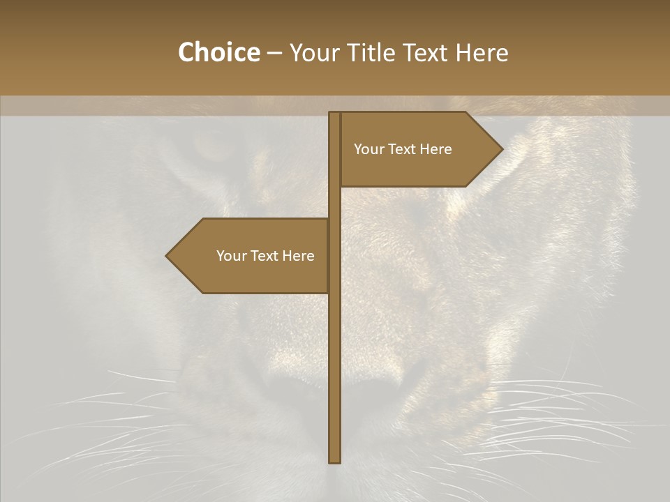 Neauty Feline Wild PowerPoint Template