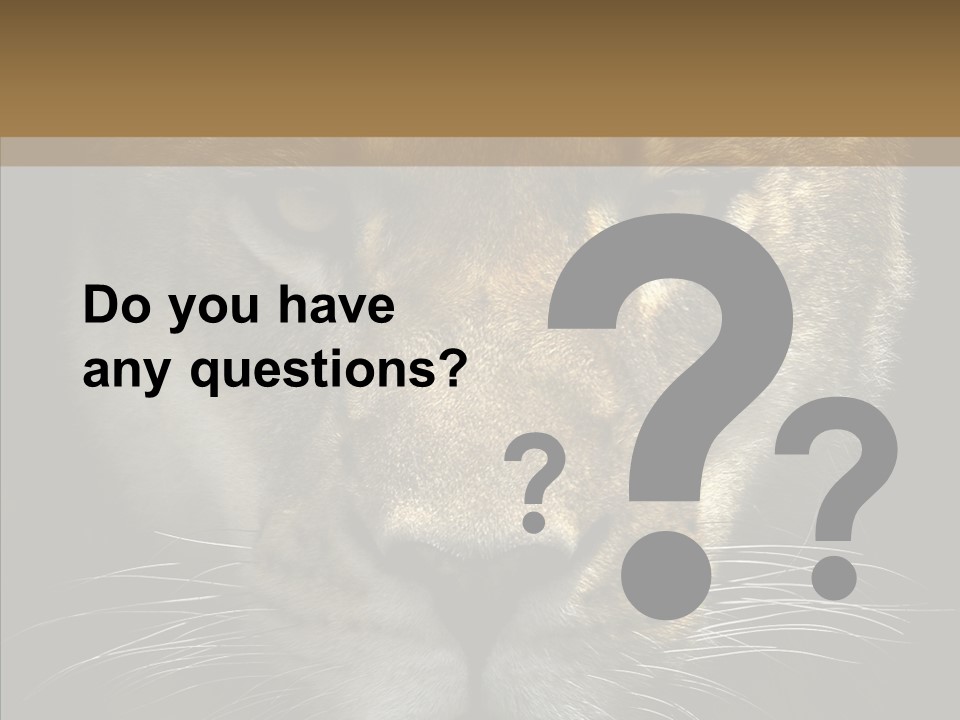 Neauty Feline Wild PowerPoint Template