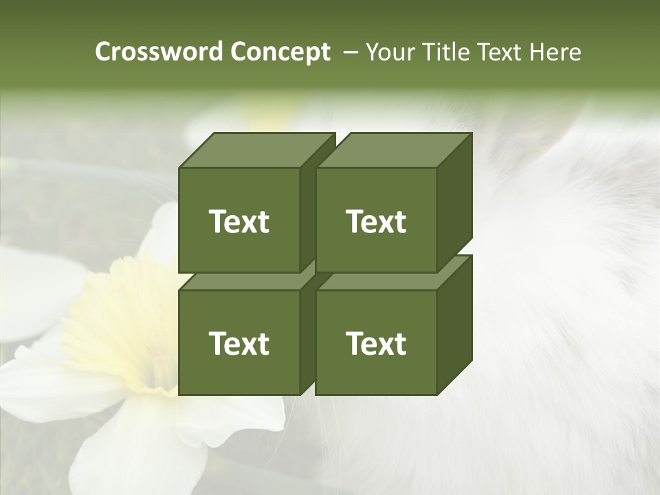 Cuddly Mammal Fuzzy PowerPoint Template