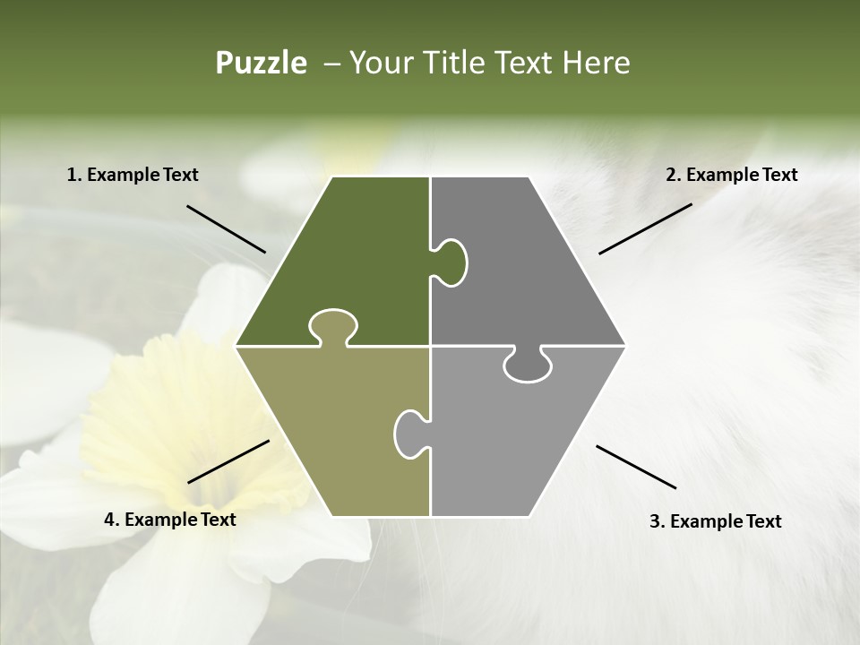 Cuddly Mammal Fuzzy PowerPoint Template