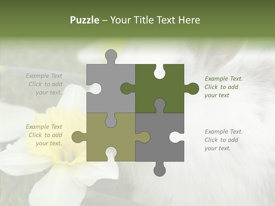 Cuddly Mammal Fuzzy PowerPoint Template