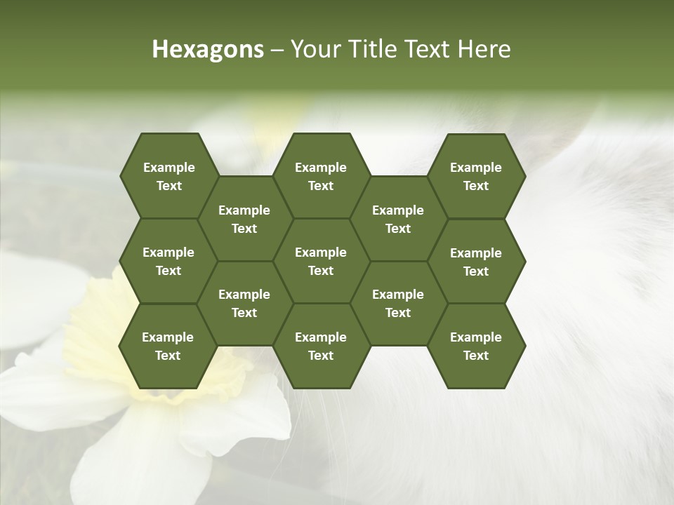 Cuddly Mammal Fuzzy PowerPoint Template