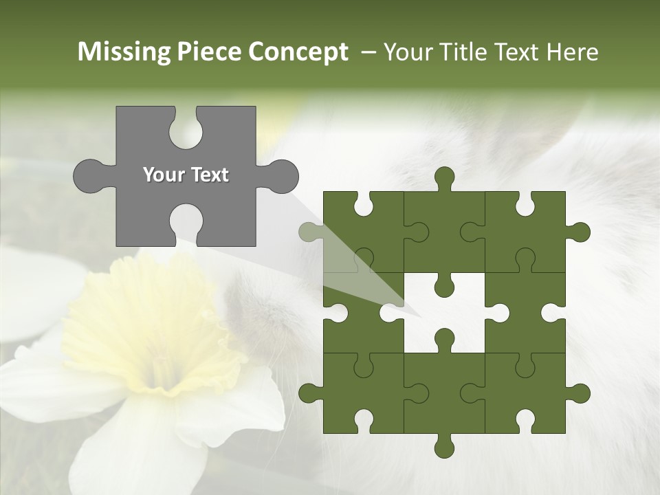 Cuddly Mammal Fuzzy PowerPoint Template