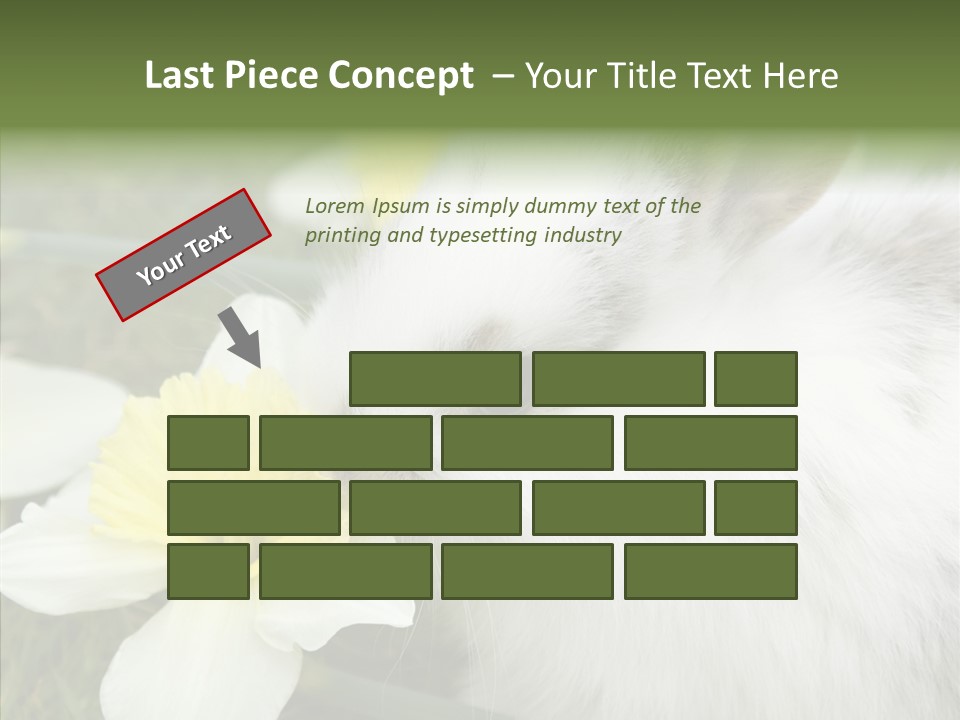 Cuddly Mammal Fuzzy PowerPoint Template