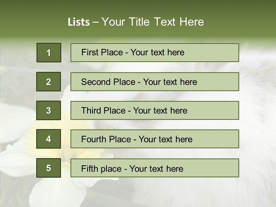 Cuddly Mammal Fuzzy PowerPoint Template