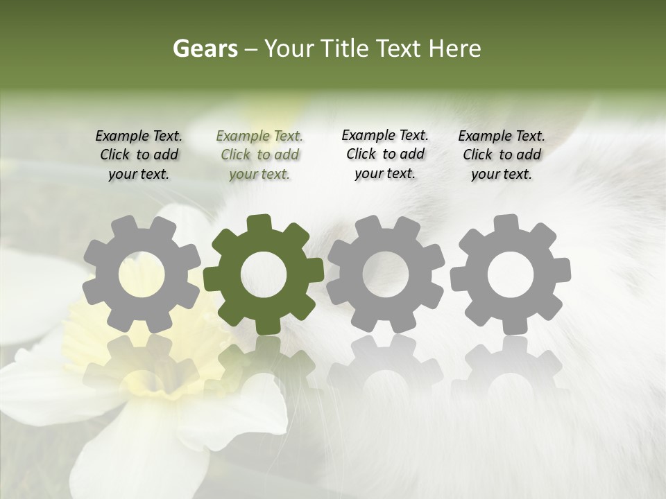 Cuddly Mammal Fuzzy PowerPoint Template