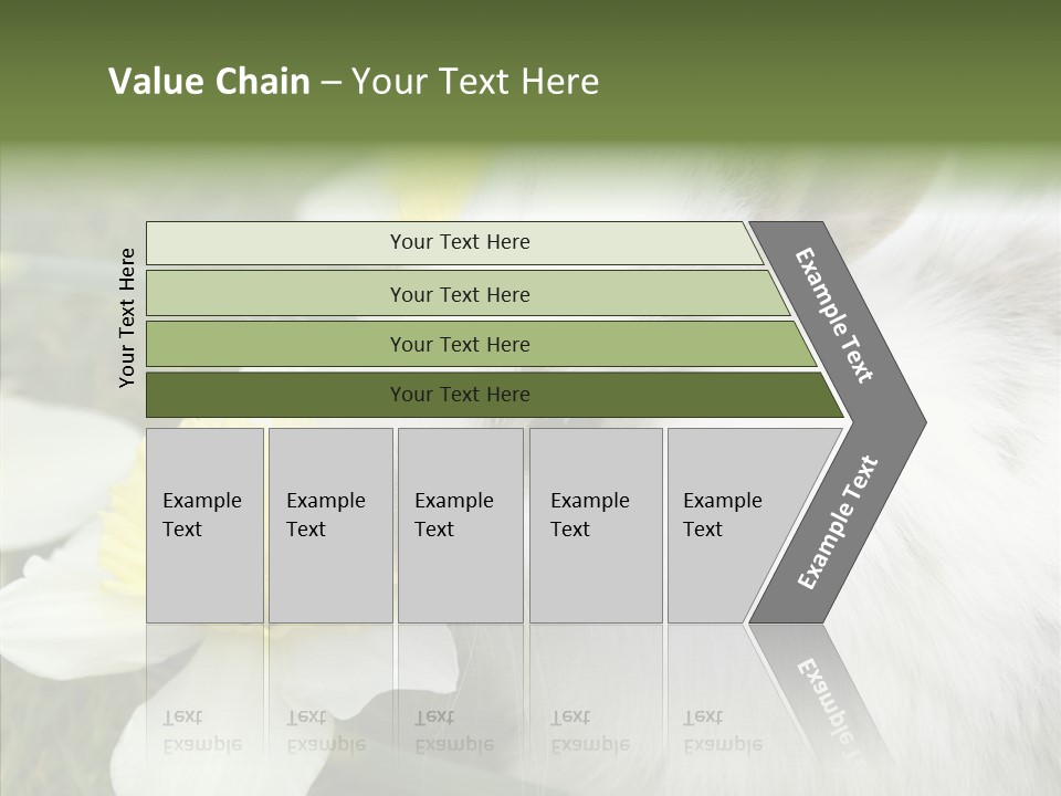 Cuddly Mammal Fuzzy PowerPoint Template